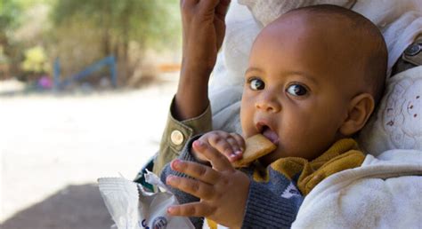  De Impact van de Tigray-crisis op het Ethiosische Volk: Een Onderstelling van Gebremichael's Dilemma